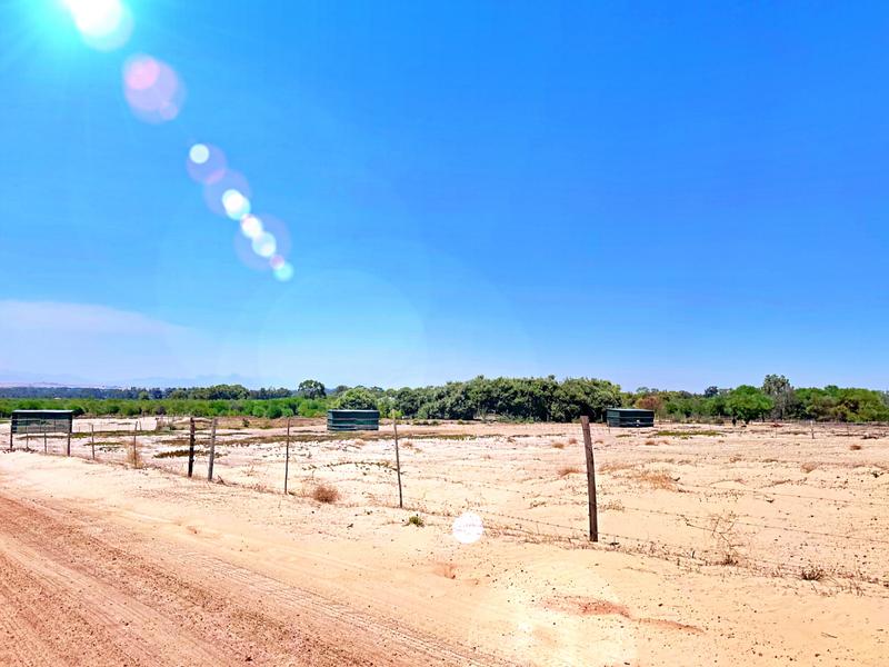 5 Bedroom Property for Sale in Klein Dassenberg Western Cape